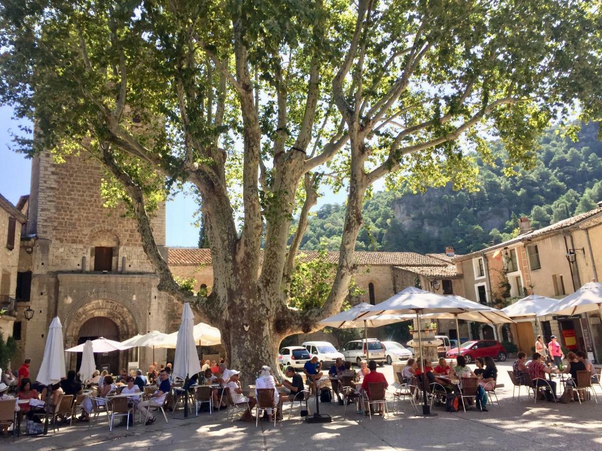 Charmante Maison A Saint Guilhem Le Desert Dış mekan fotoğraf