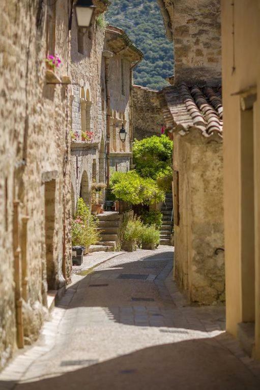 Charmante Maison A Saint Guilhem Le Desert Dış mekan fotoğraf
